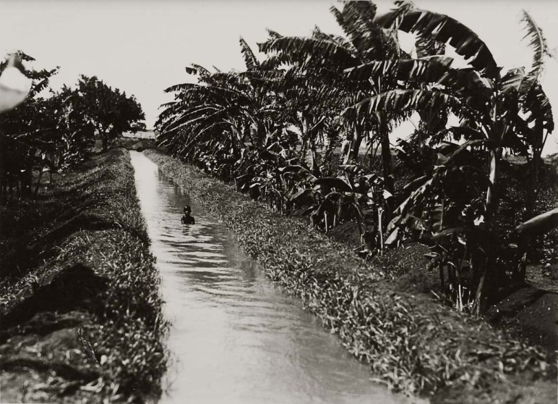 genale-un-bambino-somalo-si-bagna-in-un-canale