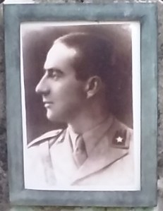 movm_cap-dardi_trieste-0