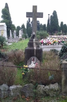 movm_cap-dardi_trieste-1