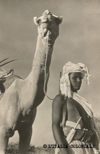 Dubat_Dubor_reparti cammellati-Somalia (1)