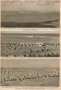 colonizzazione agricola fascista Libia (4)