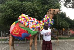 Addis Abeba,Etiopia_riapre ambasciata Eritrea (7)