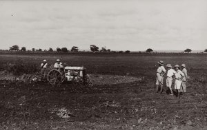 Genale Aratura meccanica nelle concessioni2