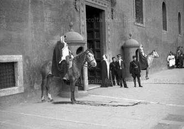 zaptic3a8libiciapalazzovenezia