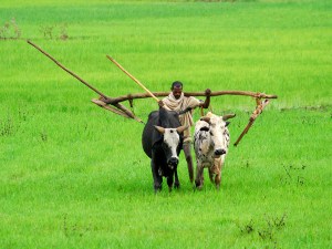 La bellezza rivelata_Etiopia_Mostra-Verona2