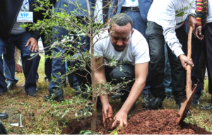Abiy Ahmed Ali Nobel pace Etiopia_alberi_cambiamento climatico (1)