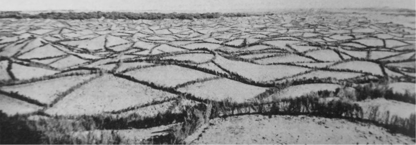 08-sx copia - Copia (2)