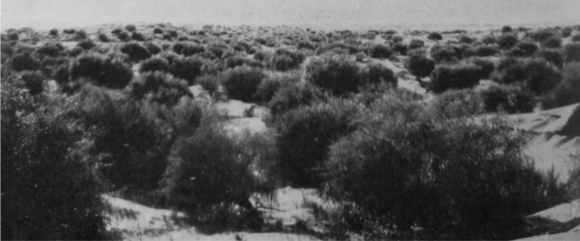 08-sx copia - Copia (3)