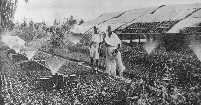 Livre Ancien Economia Colonie – Vendettuoli: La Tecnica Coloniale – Consorzio Nazionale 1932